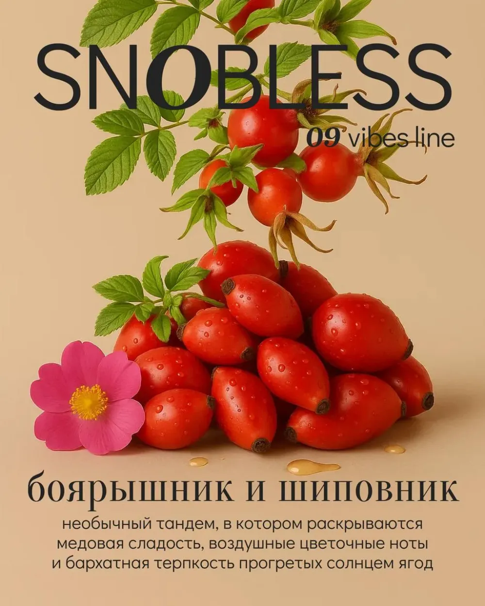 Боярышник и шиповник